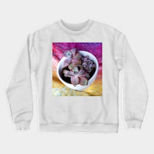 Red edged succulent on a colourful background Crewneck Sweatshirt